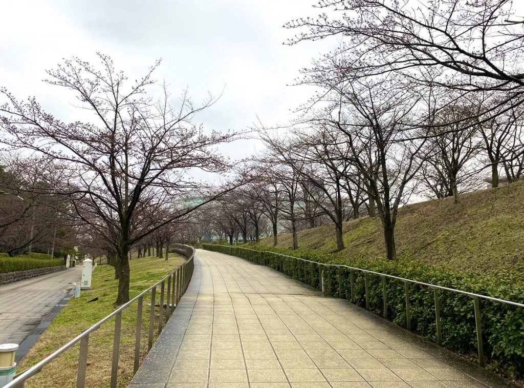 2024年6月29日(土) 白山公園空中庭園エリアのイメージ2枚目