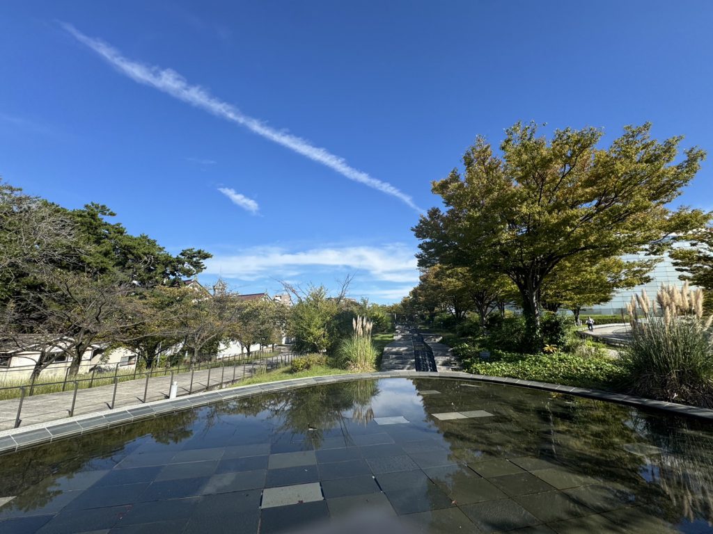 2024年10月13日(日) 白山公園空中庭園エリア